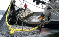 ООО Игарская Стивидорная Компания